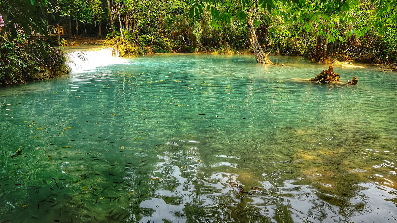 Kuang Si - Thác nước đầy kiêu hãnh của cố đô Luang Prabang - 7